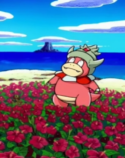 Pokemon: Yadoking no Ichinichi