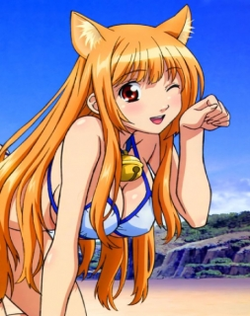 Asobi ni Iku yo!: Asobi ni Oide